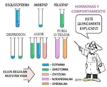 Los neurotransmisores son moléculas de distinta naturaleza, entre las que podemos encontrar: Acetilcolina (Ach), actúan sobre el músculo ...