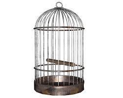 cage