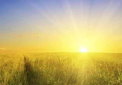 sunlight
