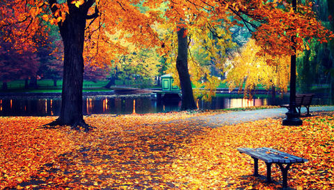 fall