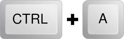 Ctrl A.