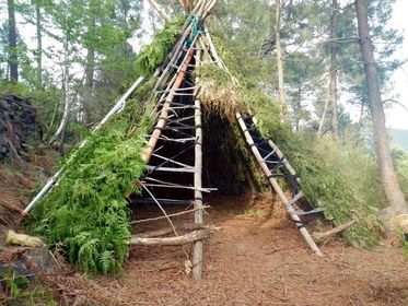 shelter
