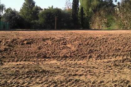 Ground