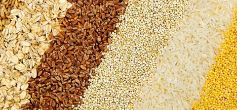 Seed