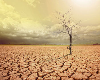 dry