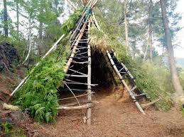 shelter