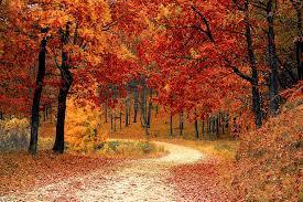 fall