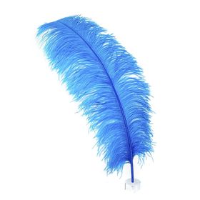 FEATHERS