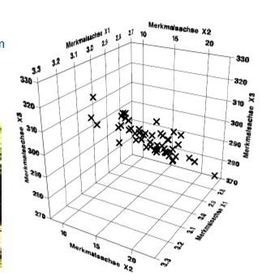 Merkmalsraum Multivariate Statistik