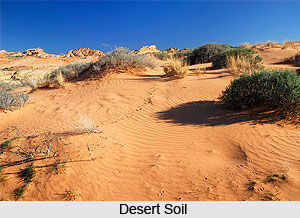 Mountainous soil is formed due to the deposition of silt on the mountains.