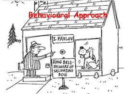 unit 12 health and social care revision