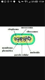 Biologia 1
