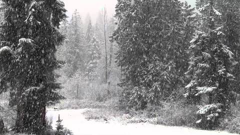 6. It is snowy