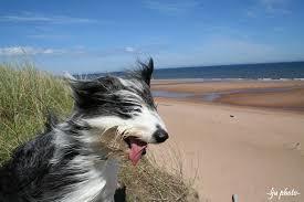 8. It's windy