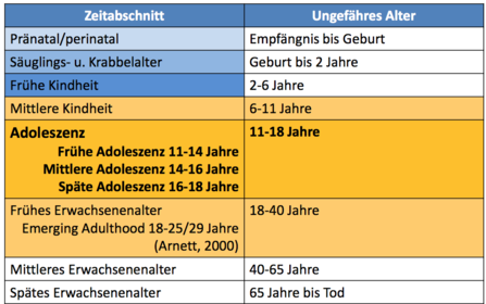2.) Kognitive Voraussetzungen I