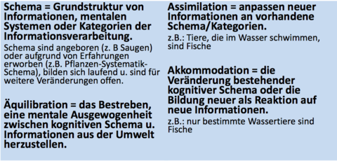 Piaget - Stadienunabhängige Grundannahmen Was sind Schemen, Äquilibration, Akkommodation und Assimilation?