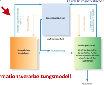 Informationsverarbeitungsmodell