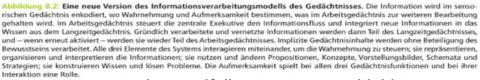 Informationsverarbeitungsmodell Beschreibung
