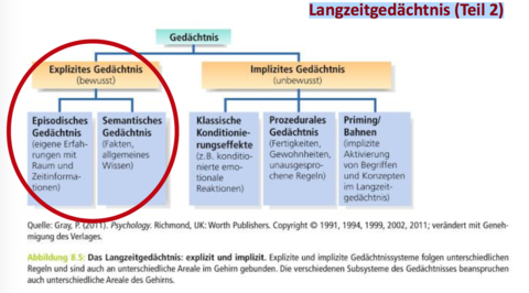 Langzeitgedächtnis (Teil 2) Explizites Gedächtnis