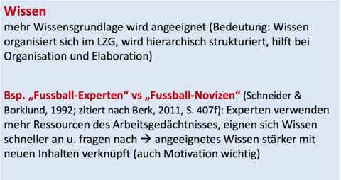 Mittere Kindheit/Schulalter (7-11) Wissen