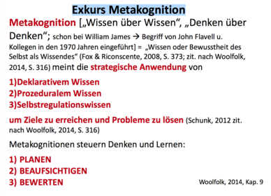 Exkurs Metakognition