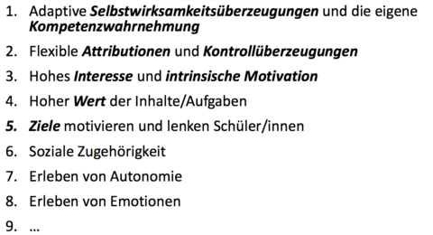 Was motiviert Schüler/innen im Unterricht?