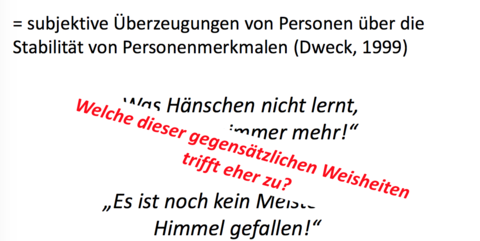 Implizite Theorien = ?