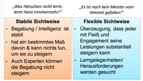 Stabile Sichtweise vs. Flexible Sichtweise