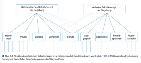 Fähigkeitsselbstkonzept Diagramm