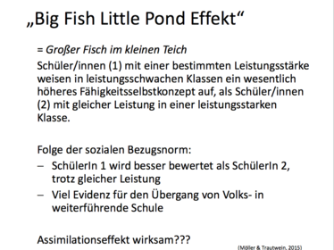 „Big Fish Little Pond Effekt“ Folge der sozialen Bezugsnorm?