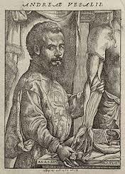 Andres Vesalio