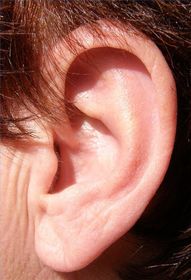 oreja