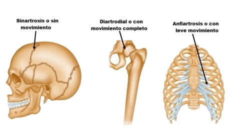 https://www.google.co.ve/url?sa=i&rct=j&q=&esrc=s&source=images&cd=&ved=0ahUKEwjJ_52Mo_3SAhUD5iYKHXn0BUwQjRwIBw&a...