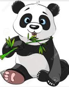 PANDA