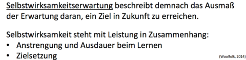 Selbstwirksamkeitserwartung Sie steht im Zusammenhang mit ___? Wie? (2 Pkt)