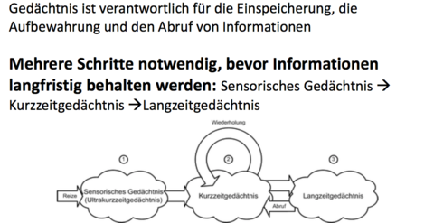 Gedächtnis Wofür verantwortlich was muss passieren, bevor info behalten werden kann?