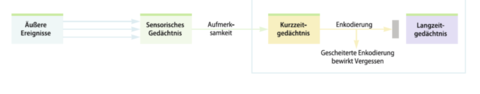 Wie kommt ein äußeres Ereignis ins LZG?
