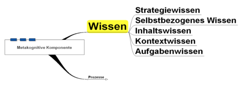 Metakognition Diagramm
