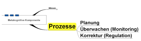 Metakognition Diagramm including Wissen und Prozesse