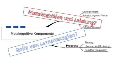Zusammenfassung: Metakognition