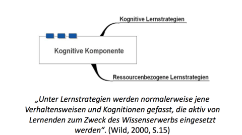 Kognitive Komponente