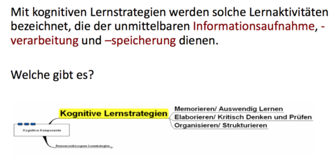 Kognitive Lernstrategien Welche gibt es?