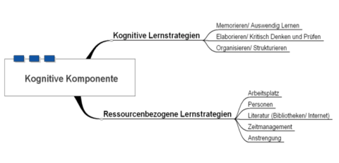 Kognitive Komponente
