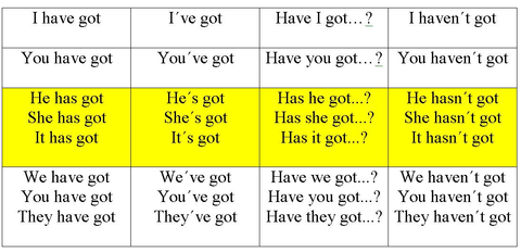 HAVE / HAS HAVE GOT / HAS GOT