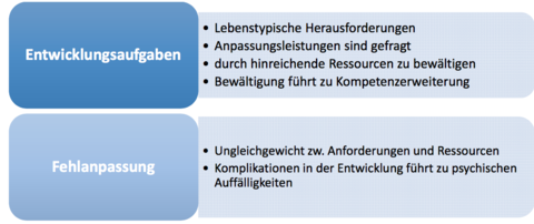 Entwicklungsaufgaben? Fehleranpassung?