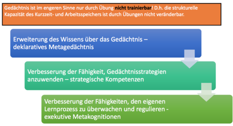 Förderung von Gedächtnisprozessen
