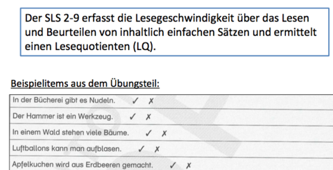 SLS 2-9 Salzburger Lese-Screening für die Schulstufen 2-9