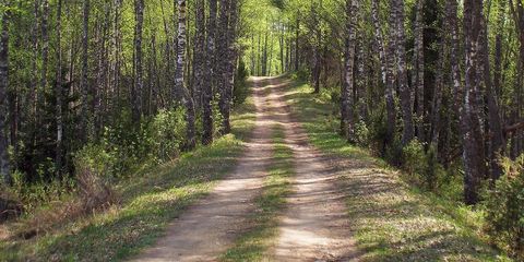 trail