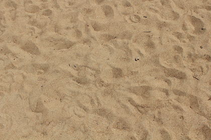 sand