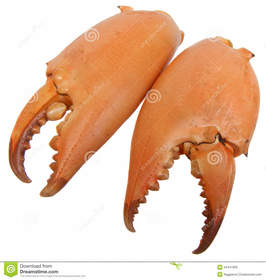 pincers